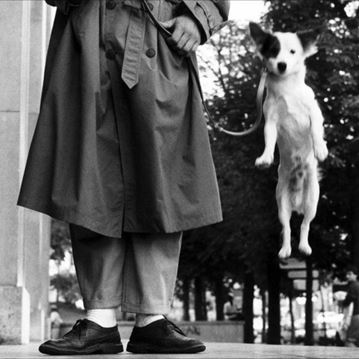 Elliott Erwitt